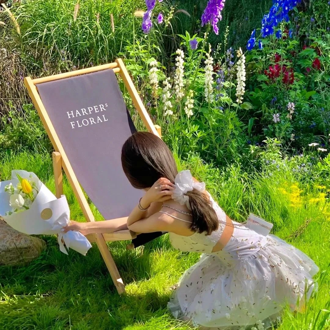 小甘罗拜相粤语